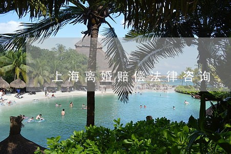 上海离婚赔偿法律咨询 上海离婚赔偿法律咨询