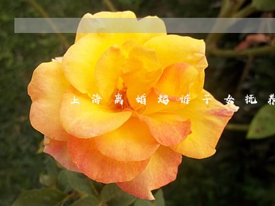 上海离婚起诉子女抚养权 上海离婚起诉子女抚养权