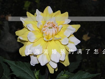 上海离婚预约满了怎么办 上海离婚预约满了怎么办