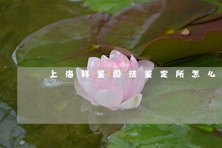上海科鉴司法鉴定所怎么样 上海科鉴司法鉴定所怎么样