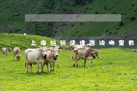 上海纠纷法律咨询哪里有 上海纠纷法律咨询哪里有