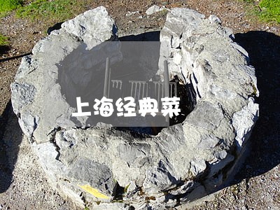上海经典菜 上海经典菜
