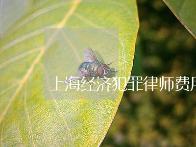 上海经济犯罪律师费用 上海经济犯罪律师费用