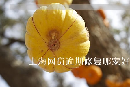 上海网贷逾期修复哪家好 上海网贷逾期修复哪家好