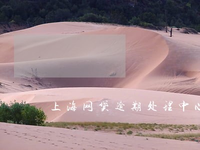 上海网贷逾期处理中心 上海网贷逾期处理中心