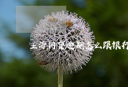 上海网贷逾期怎么跟银行协商 上海网贷逾期怎么跟银行协商
