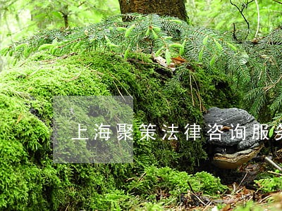上海聚策法律咨询服务所 上海聚策法律咨询服务所