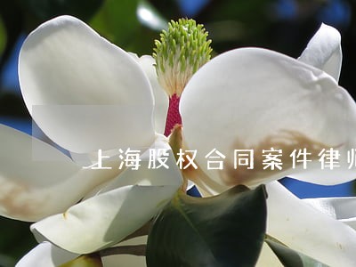 上海股权合同案件律师申诉 上海股权合同案件律师申诉