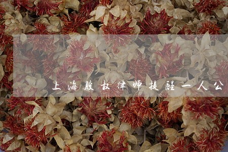 上海股权律师提醒一人公司的股东 上海股权律师提醒一人公司的股东