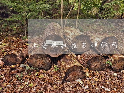 上海股权投资律师网 上海股权投资律师网