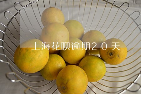 上海花呗逾期20天 上海花呗逾期20天