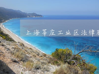 上海莘庄工业区法律顾问 上海莘庄工业区法律顾问