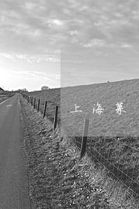 上海菜 上海菜