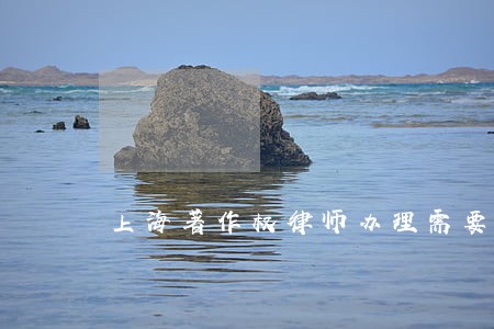 上海著作权律师办理需要提供什么 上海著作权律师办理需要提供什么