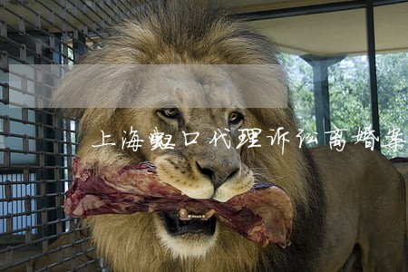 上海虹口代理诉讼离婚案件律师 上海虹口代理诉讼离婚案件律师
