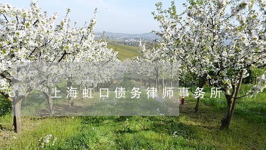 上海虹口债务律师事务所 上海虹口债务律师事务所