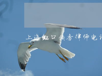 上海虹口债务律师电话 上海虹口债务律师电话