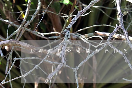 上海虹口公司债务律师免费咨询 上海虹口公司债务律师免费咨询