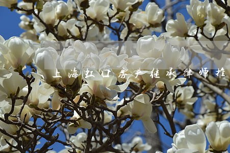 上海虹口房产继承律师推荐 上海虹口房产继承律师推荐