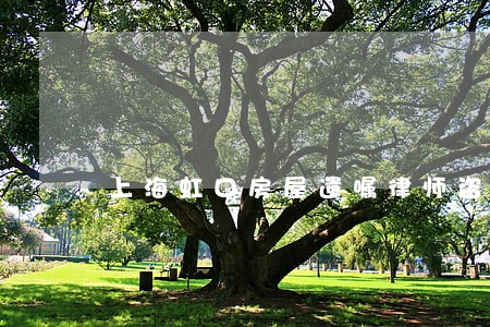 上海虹口房屋遗嘱律师咨询费 上海虹口房屋遗嘱律师咨询费