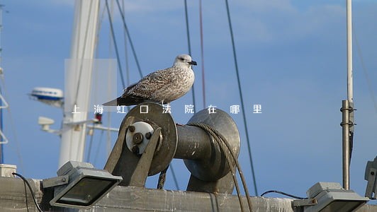 上海虹口法院在哪里 上海虹口法院在哪里