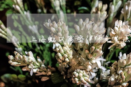 上海虹口离婚律师免费法律咨询 上海虹口离婚律师免费法律咨询