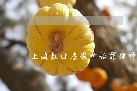 上海虹口虚假诉讼罪律师 上海虹口虚假诉讼罪律师