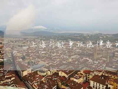 上海行政争议法律咨询 上海行政争议法律咨询