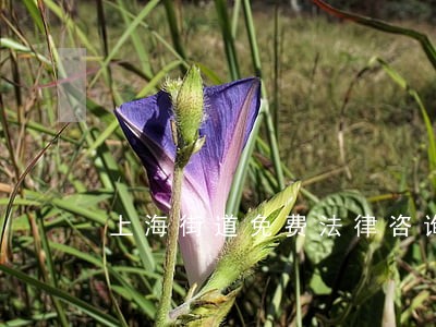 上海街道免费法律咨询 上海街道免费法律咨询
