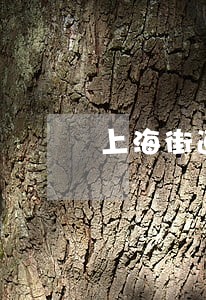 上海街道法律援助 上海街道法律援助