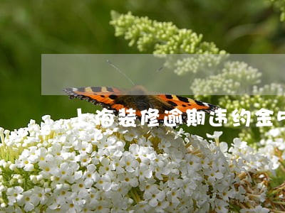 上海装修逾期违约金50 上海装修逾期违约金50