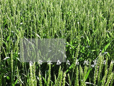 上海证券交易所官方网站 上海证券交易所官方网站