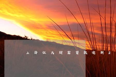 上海证大财富贷款逾期2年 上海证大财富贷款逾期2年