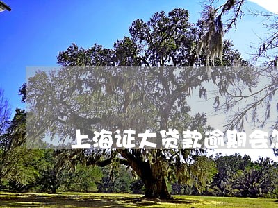 上海证大贷款逾期会怎么样 上海证大贷款逾期会怎么样