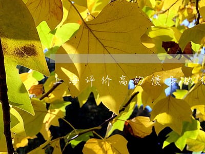 上海评价高的债务执行律师推荐 上海评价高的债务执行律师推荐