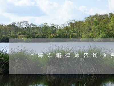 上海诈骗律师咨询收费标准 上海诈骗律师咨询收费标准