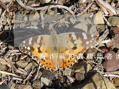 上海诈骗犯罪律师咨询 上海诈骗犯罪律师咨询