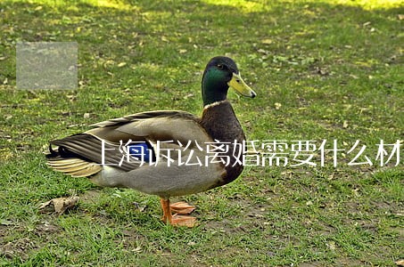 上海诉讼离婚需要什么材料 上海诉讼离婚需要什么材料