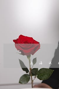 上海诚德律师事务所的专栏 上海诚德律师事务所的专栏
