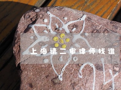 上海请二审律师找谁 上海请二审律师找谁