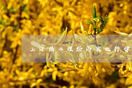 上海请办理经济案执行律师 上海请办理经济案执行律师