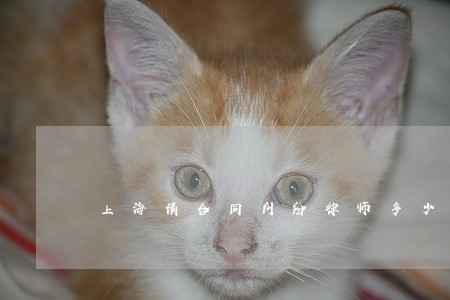 上海请合同纠纷律师多少钱 上海请合同纠纷律师多少钱