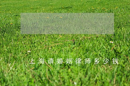 上海请婚姻律师多少钱 上海请婚姻律师多少钱