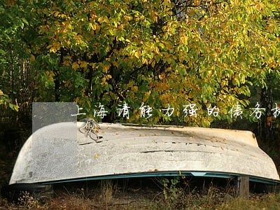 上海请能力强的债务执行律师团队 上海请能力强的债务执行律师团队