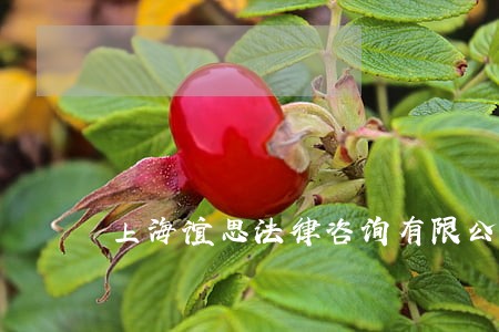 上海谊思法律咨询有限公司 上海谊思法律咨询有限公司