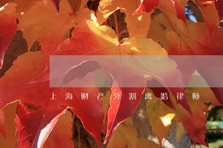 上海财产分割离婚律师 上海财产分割离婚律师