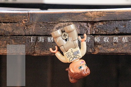 上海财产规划律师收费情况 上海财产规划律师收费情况