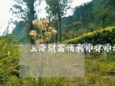 上海财富传承师律师诉讼费 上海财富传承师律师诉讼费
