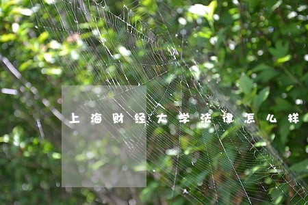 上海财经大学法律怎么样 上海财经大学法律怎么样