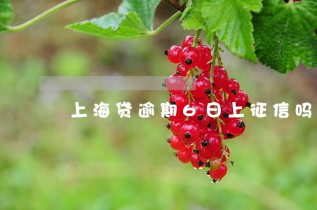 上海贷逾期6日上征信吗 上海贷逾期6日上征信吗